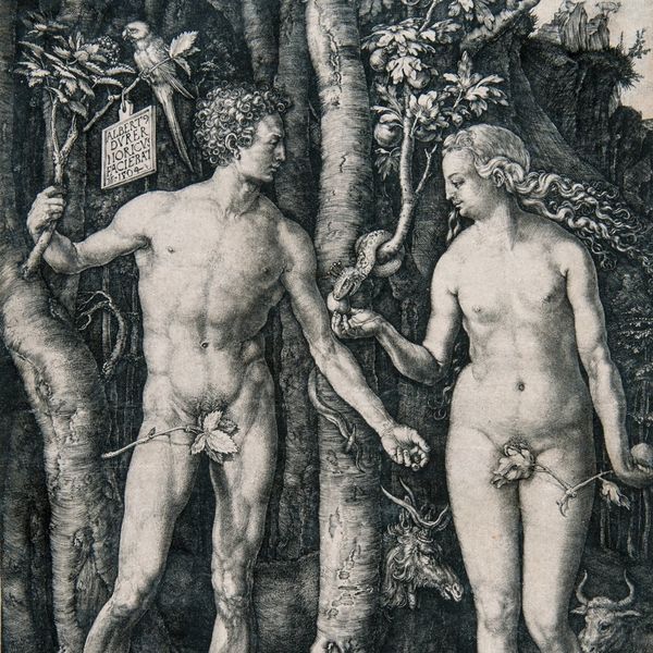 Albrecht D\u00fcrer al MART di Rovereto