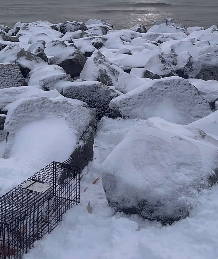 snow rocks beach