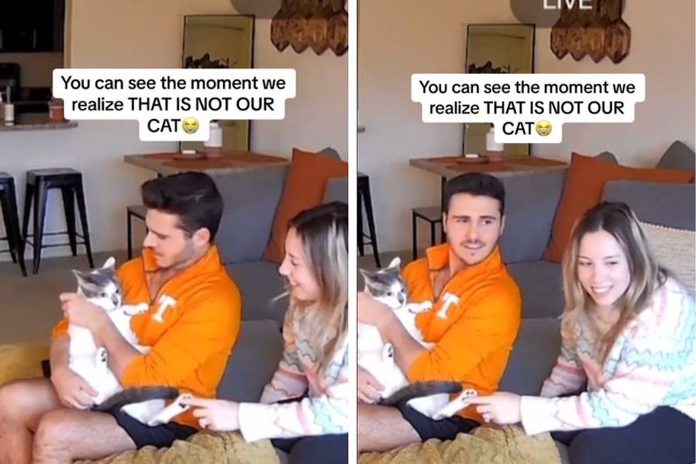 Couple realizes the cat they've been snuggling is an imposter in a unbelievable mixup