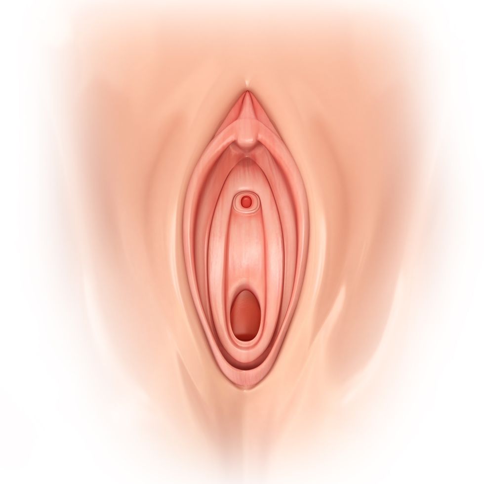 close-up-diagram-of-a-woman's-vagina