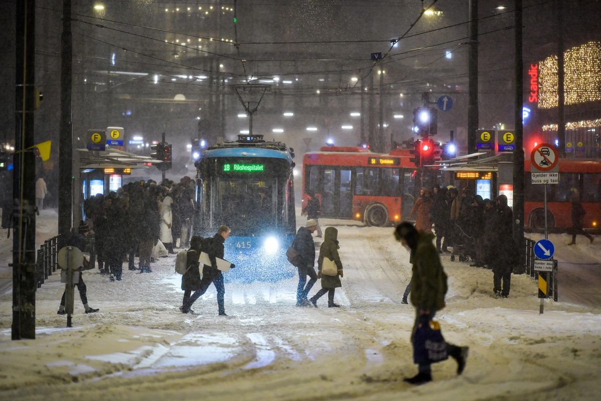 Fa troppo freddo: bus elettrici paralizzati