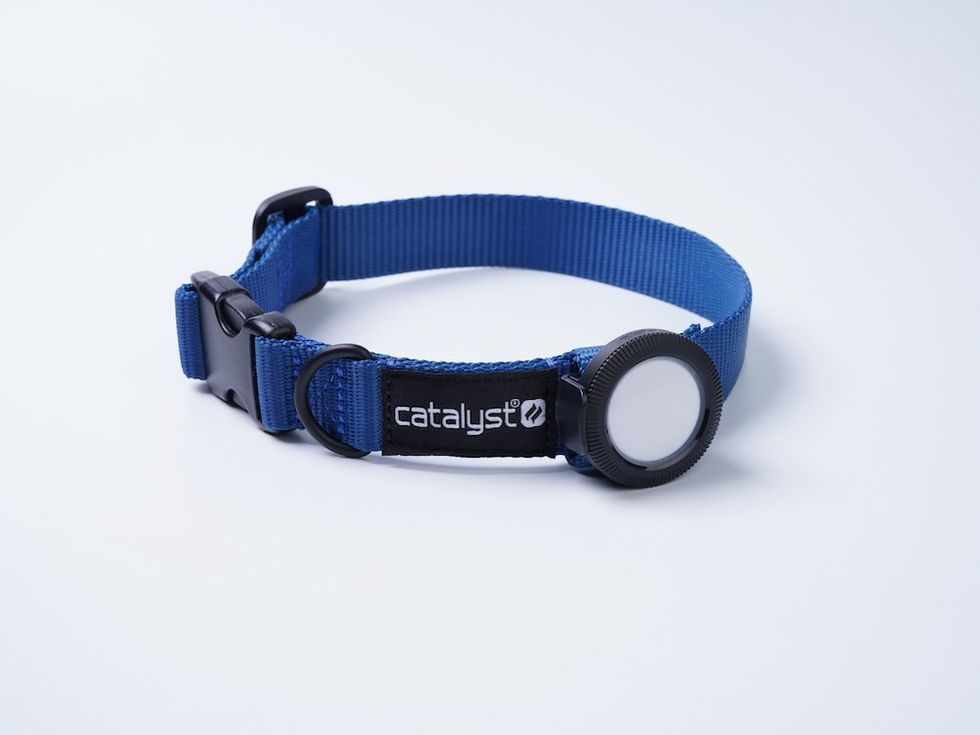 a photo of Catalyst Dog Collar for AirTag
