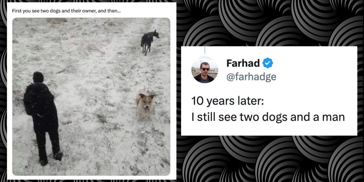 Optical Illusion Photo Appears To Show Two Dogs It Doesn T Upworthy Optical Illusion Photo Appears To Show Two Dogs It Doesn T Upworthy