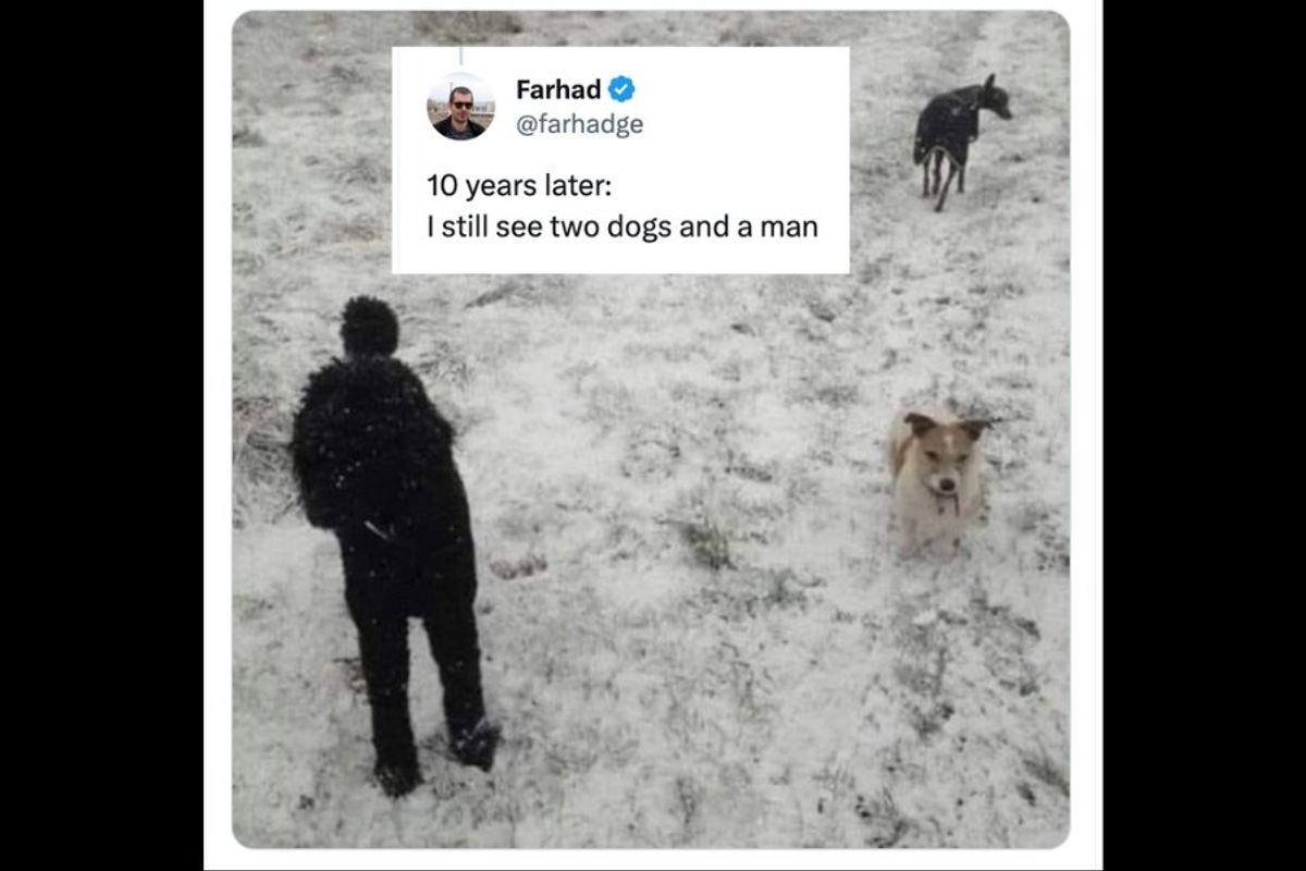 photo that appears to be a man standing in a snowy field with two dogs