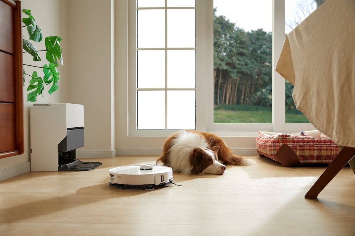 a photo of a dog lying on the flooer with Roborock vacuum