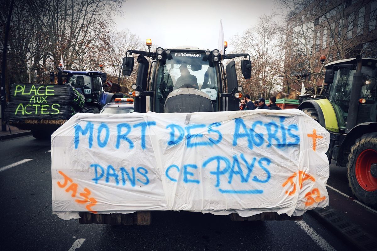 La Francia sotto assedio dei trattori ferma i pescatori per salvare i delfini