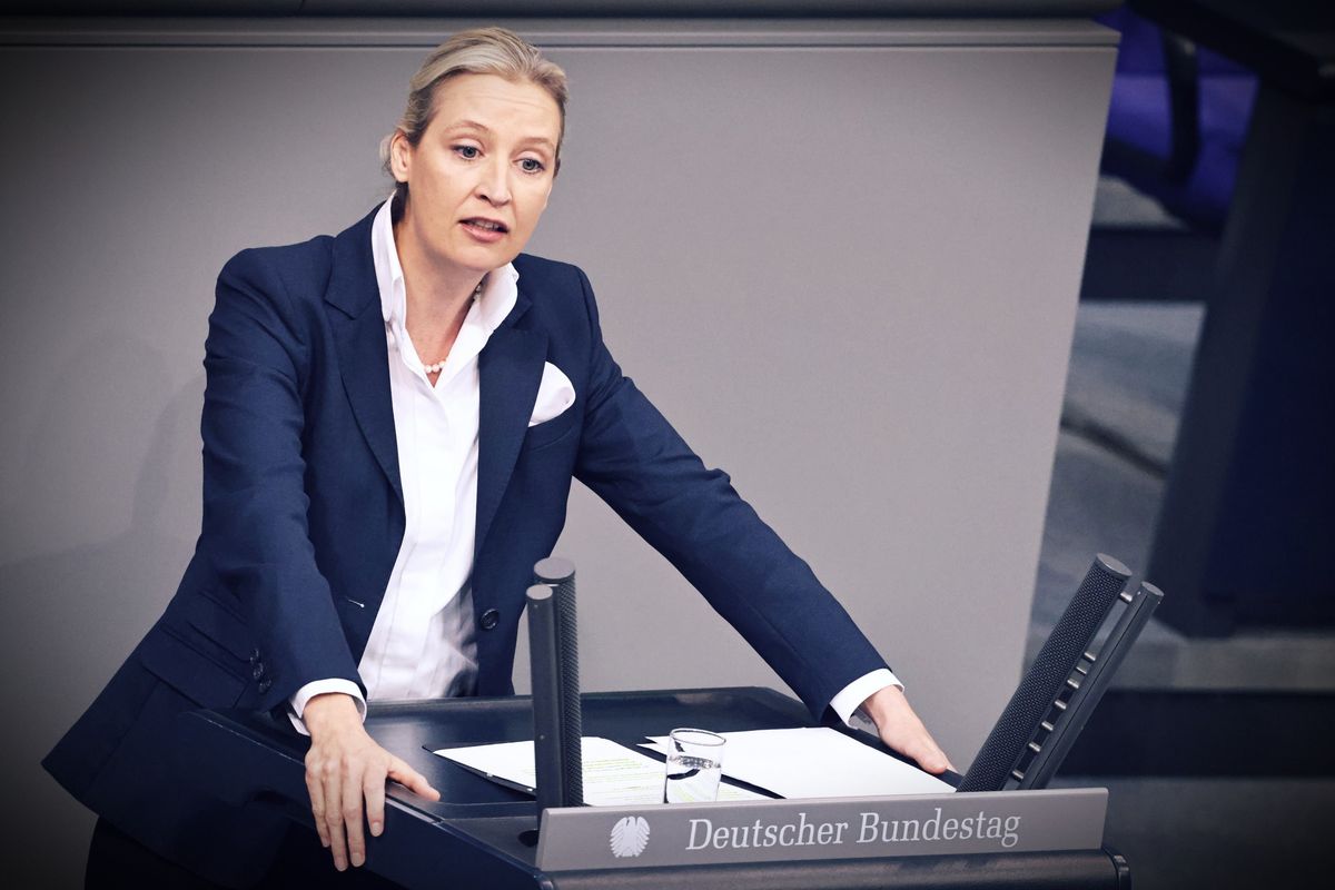 Afd spaventa l’Ue: «Referendum per uscire»