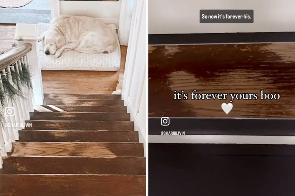 dog sleeping at the bottom of a staircase