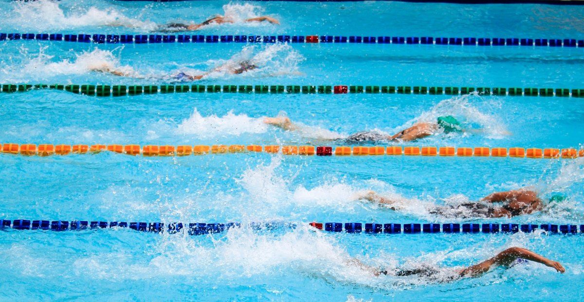 swimmers in a lap pool