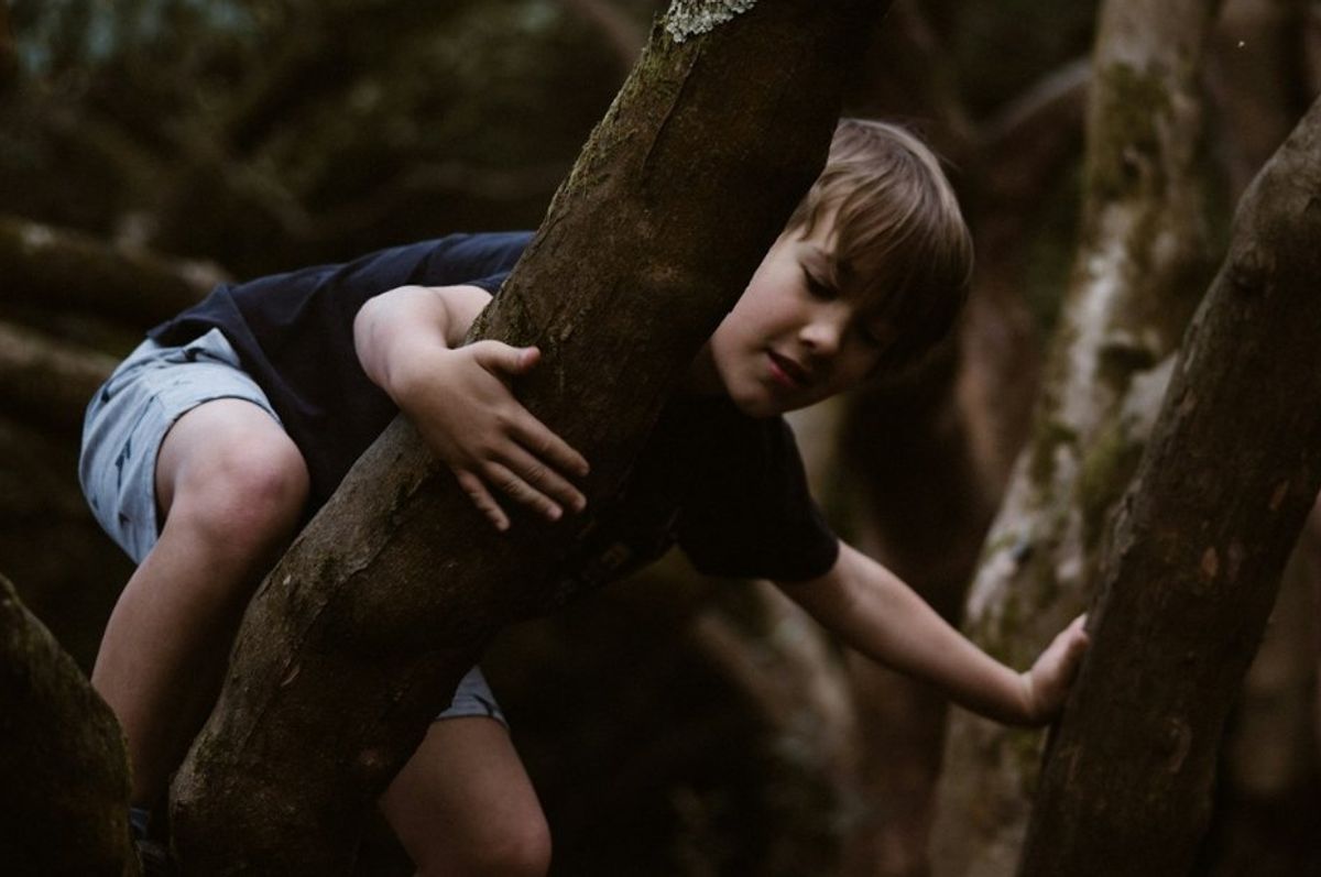 kid climbing a tree