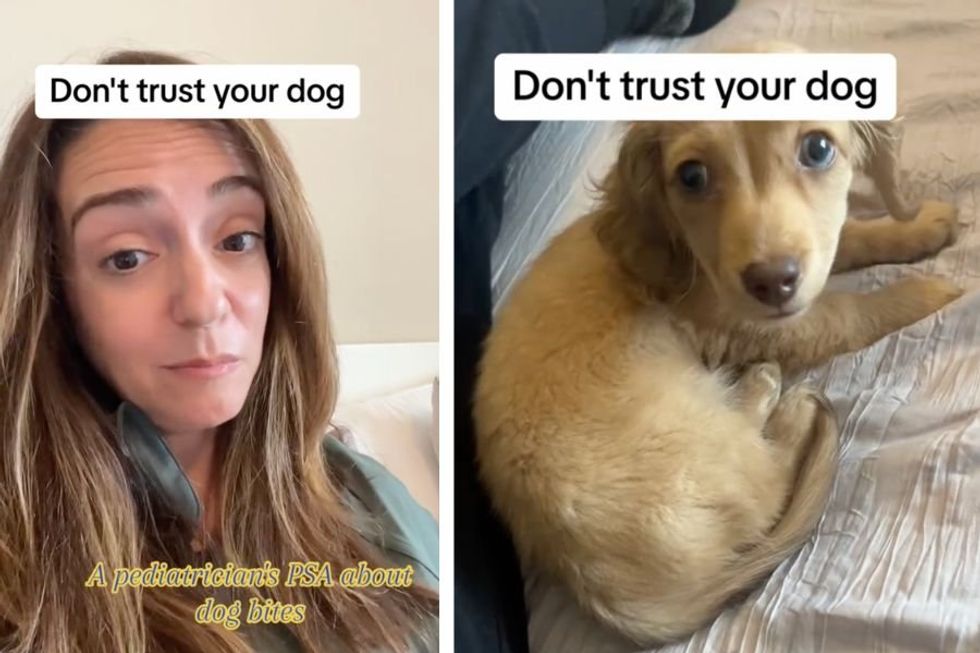 Popular pediatrician on TikTok warns parents never to trust their dog around kids
