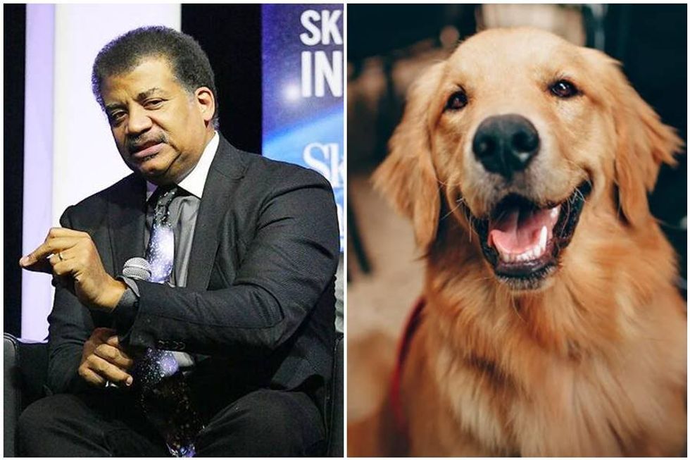 Neil deGrasse Tyson's touching statement on dogs‚ joy and mortality is a real tear-jerker