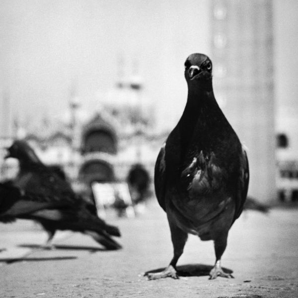 David Seymour in mostra a Palazzo Grimani