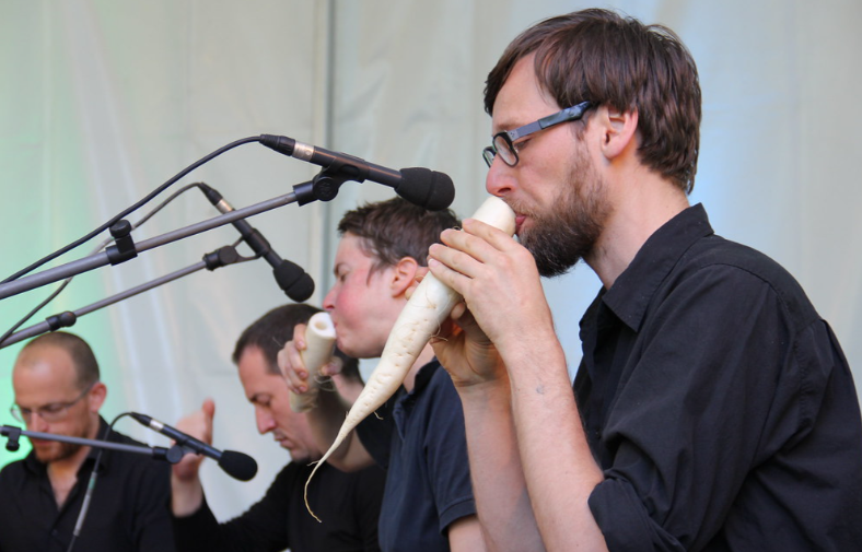 vegetable orchestra, vienna, music