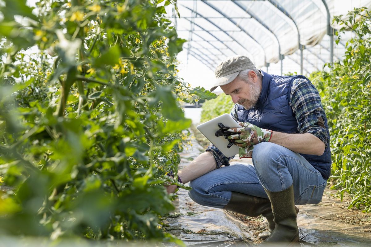 Il governo studia il ritorno parziale dell’esenzione sull’Irpef agricola