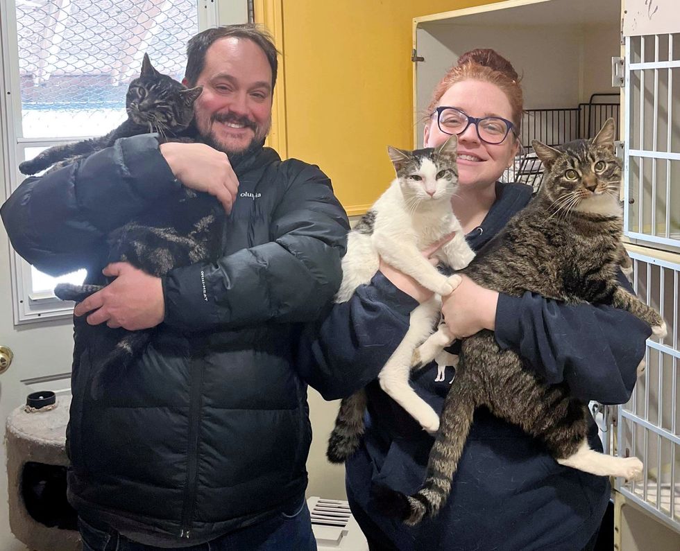 cats adopted couple