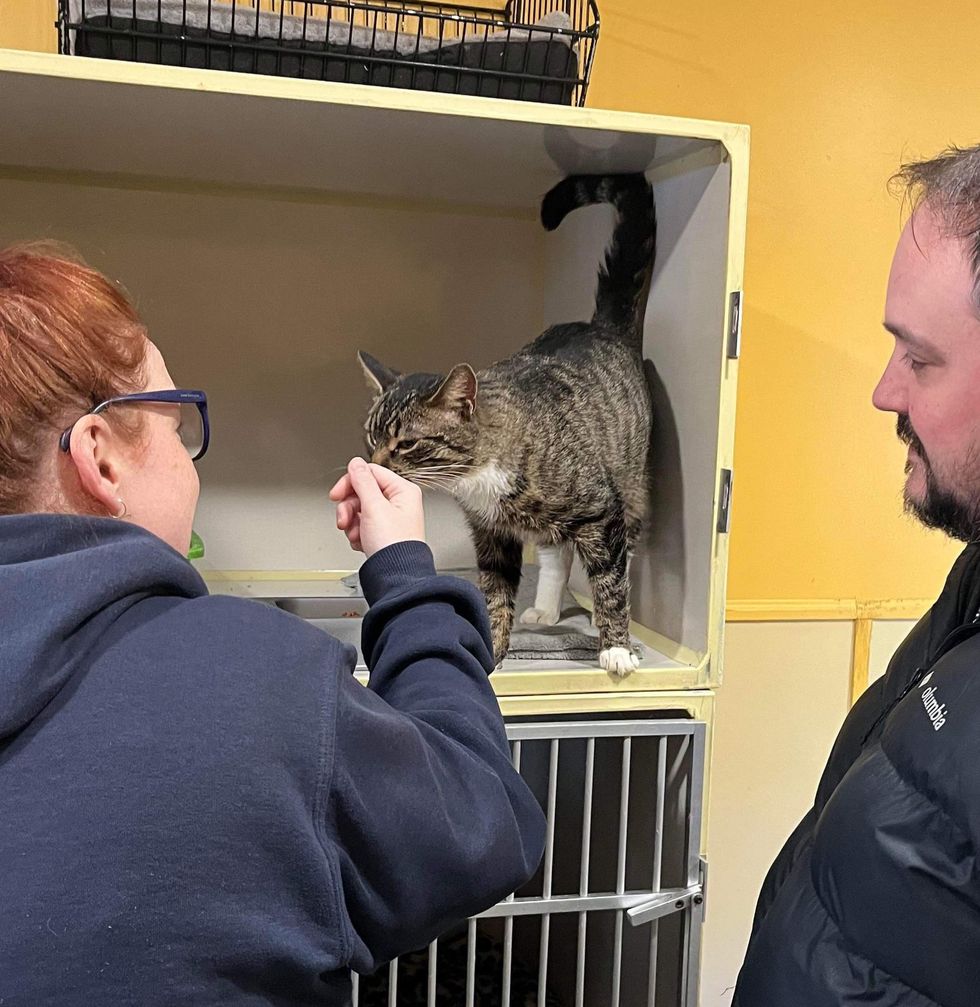 couple meets cat shelter
