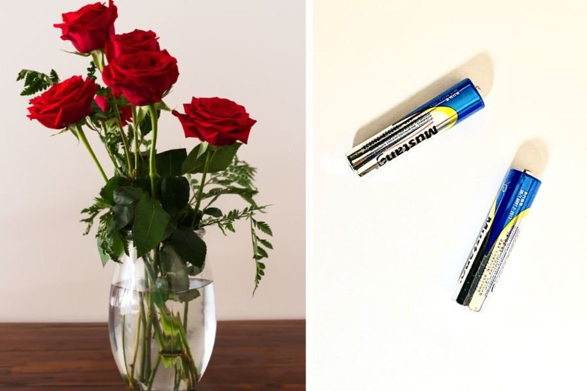 keeping flowers fresh, valentine's day, roses, tiktok hacks, the gooch