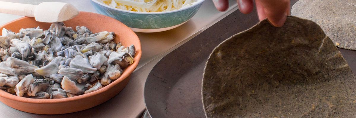 Hands prepare Huitlacoche tortilla; background features clay bowl of Huitlacoche mushrooms, showcasing Mexican culinary tradition.