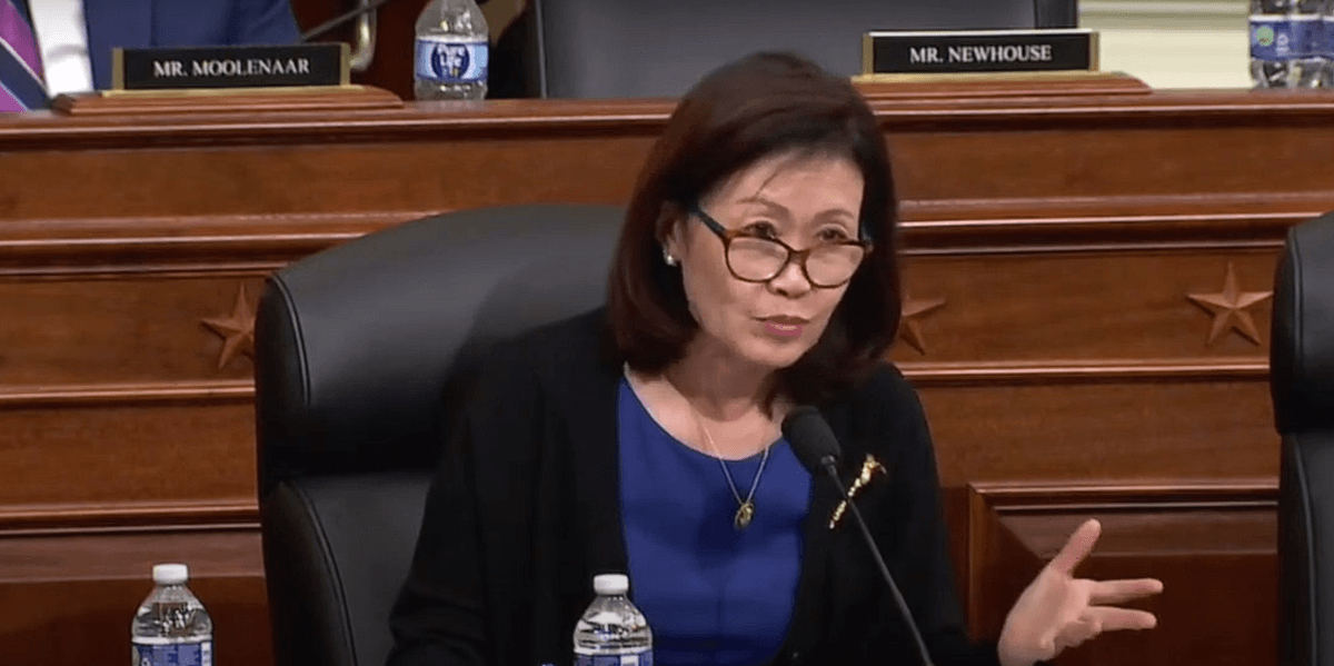 GOP Rep. Steel Got Pregnant With IVF -- Then Sponsored A Bill To Ban It - Vimarsana News