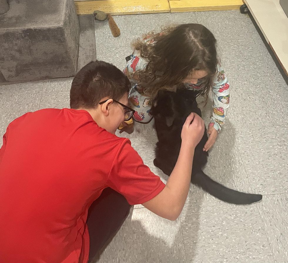 shelter cat meets family