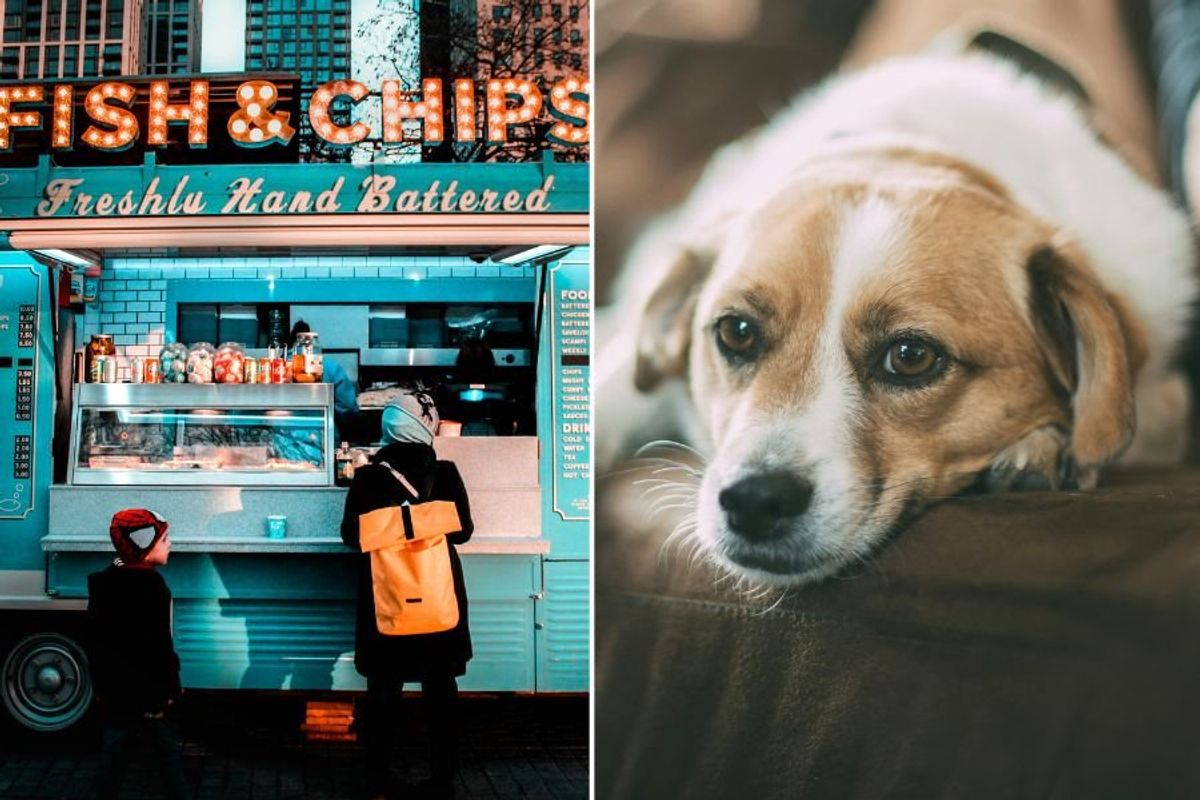 two people standing in front of a food truck and a dog lying on a sofa