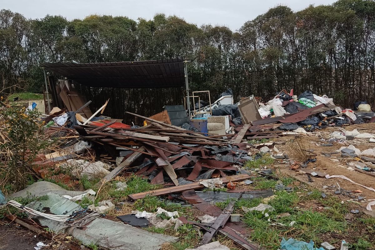 Accanto agli studenti romani degrado, rifiuti e carcasse. Gualtieri tace