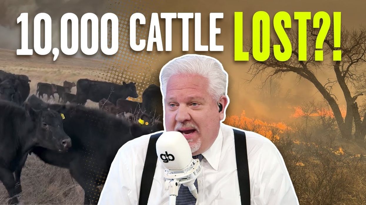 Will the Texas Panhandle Wildfires Affect YOUR Beef Prices?