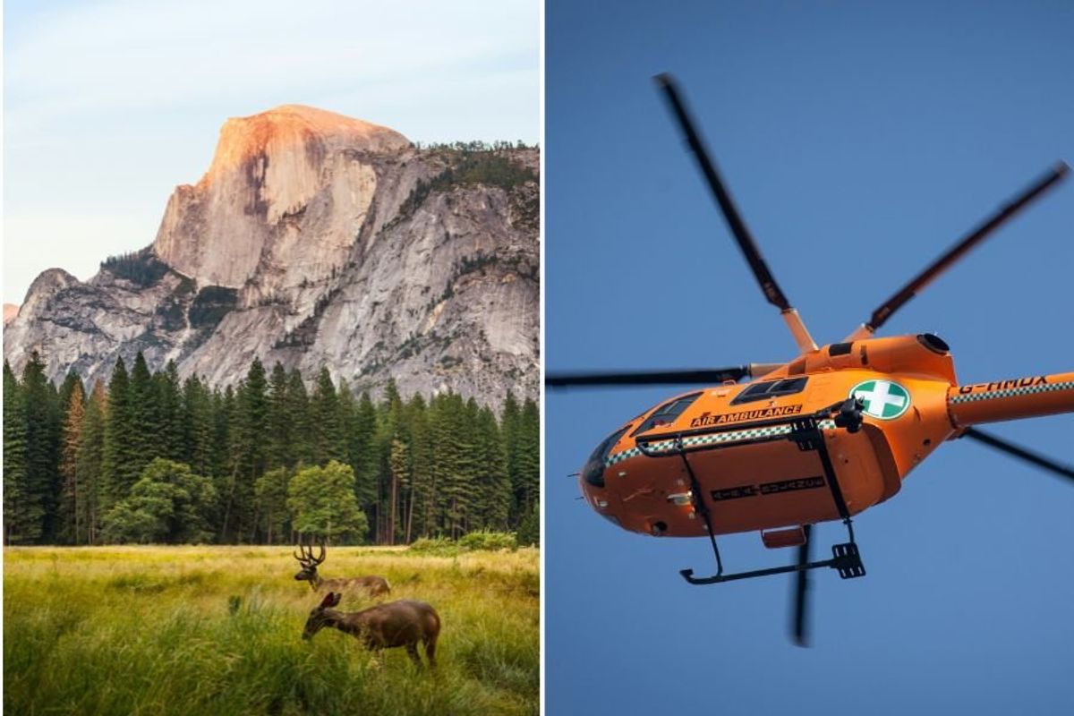 deer at Yosemite National Park, air ambulance helicopter
