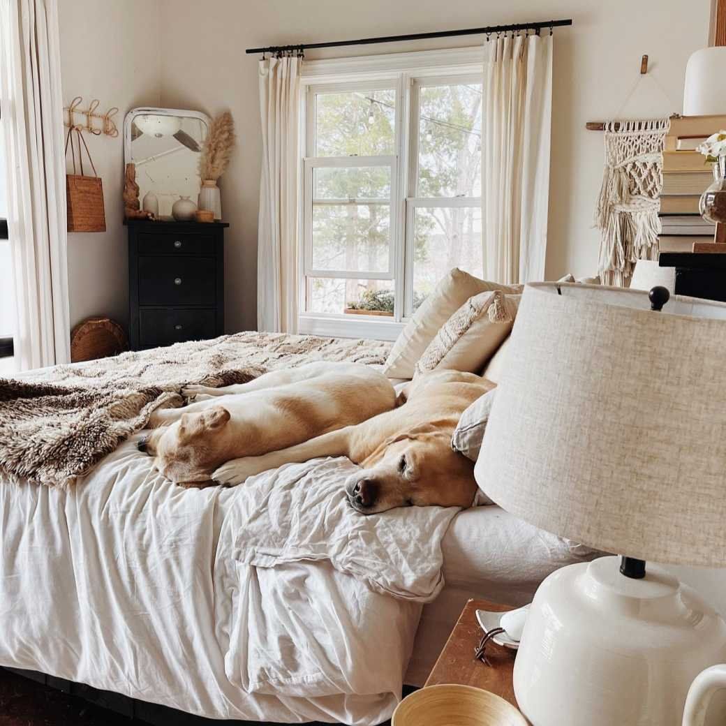 Quince Has The Best Bedding At Affordable Pricing Topdust