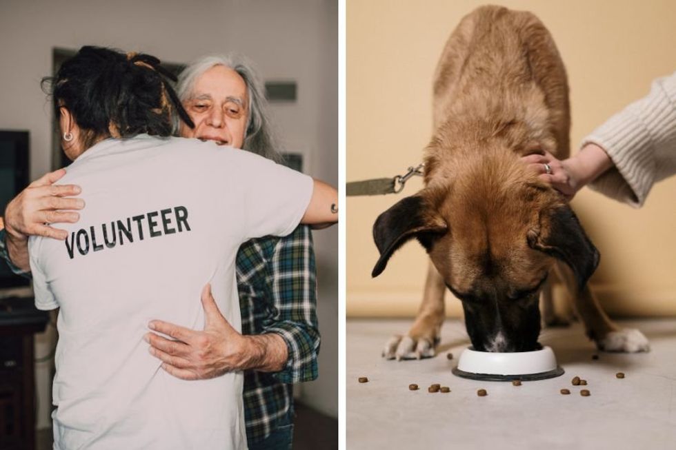 Meals on Wheels program is making an effort to keep seniors and pets together