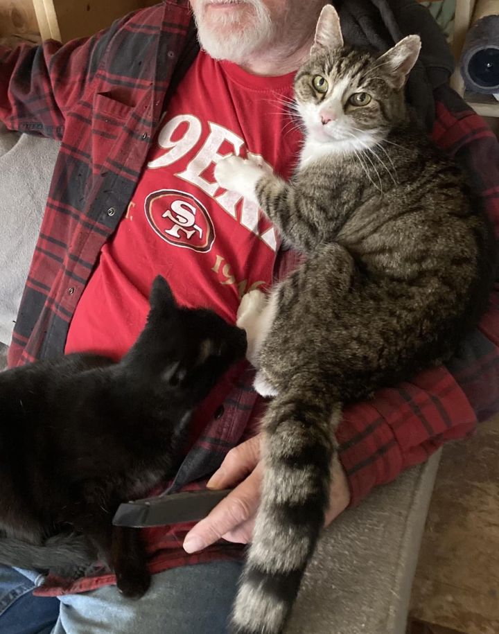 snuggly cat arms