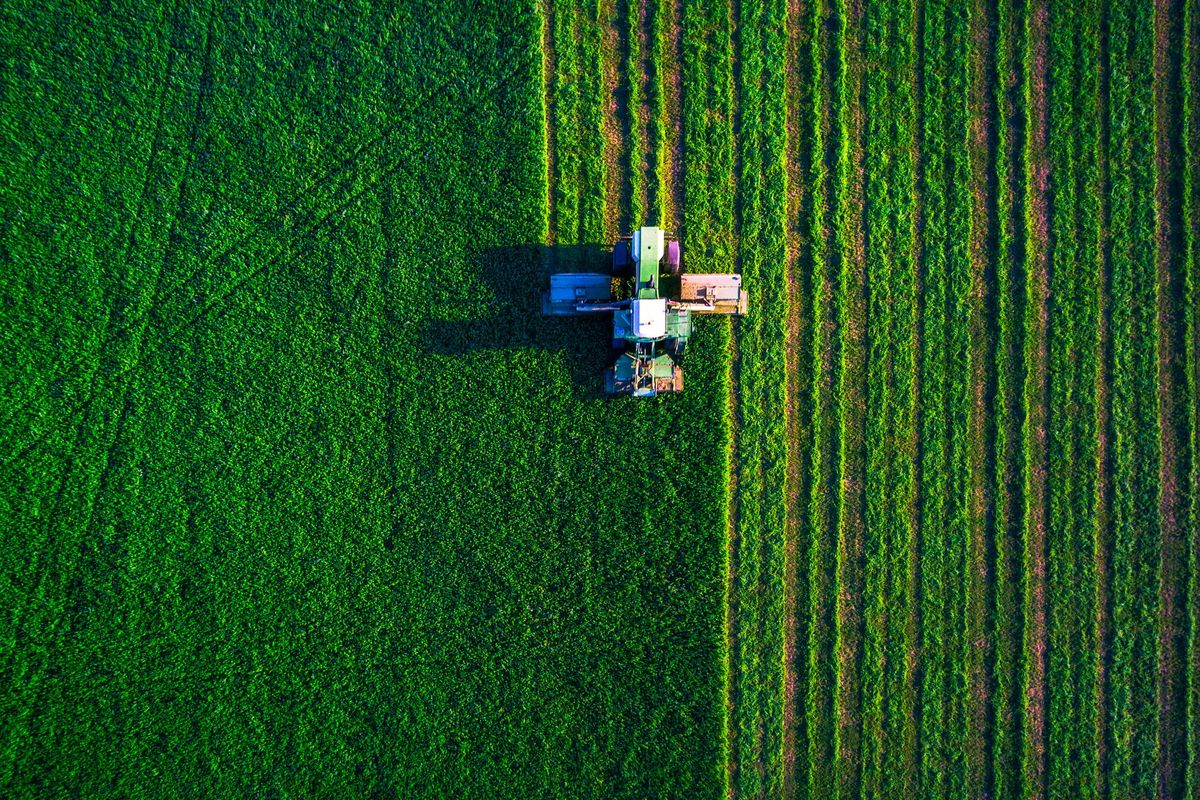 «Aiutiamo gli agricoltori a usare i soldi del Pnrr per entrare nel digitale»