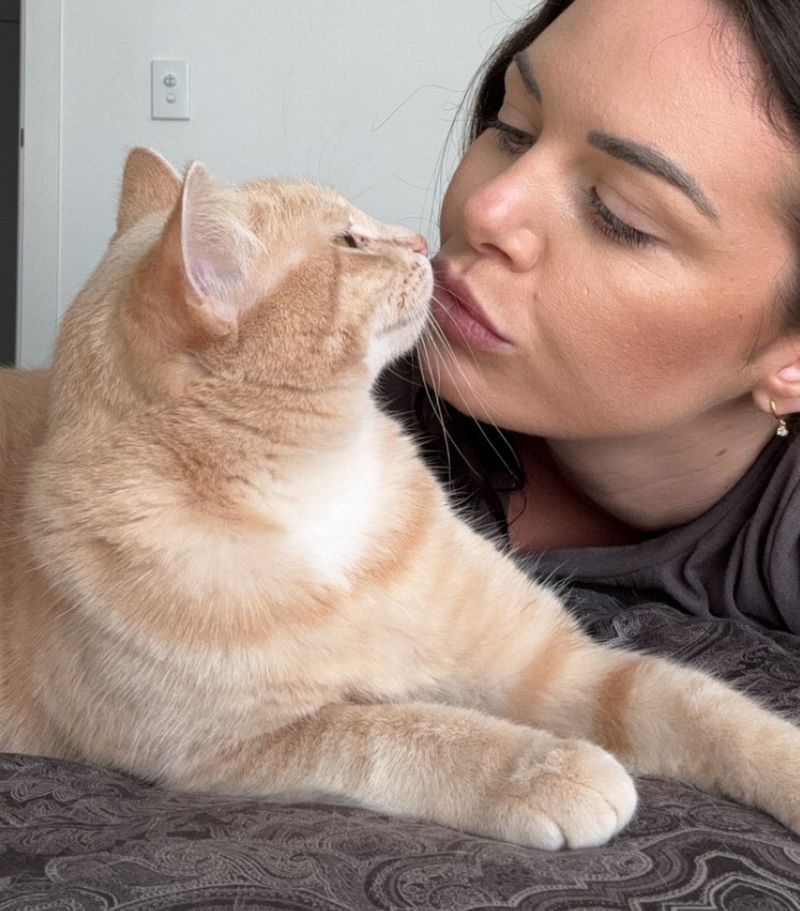 happy cat kisses