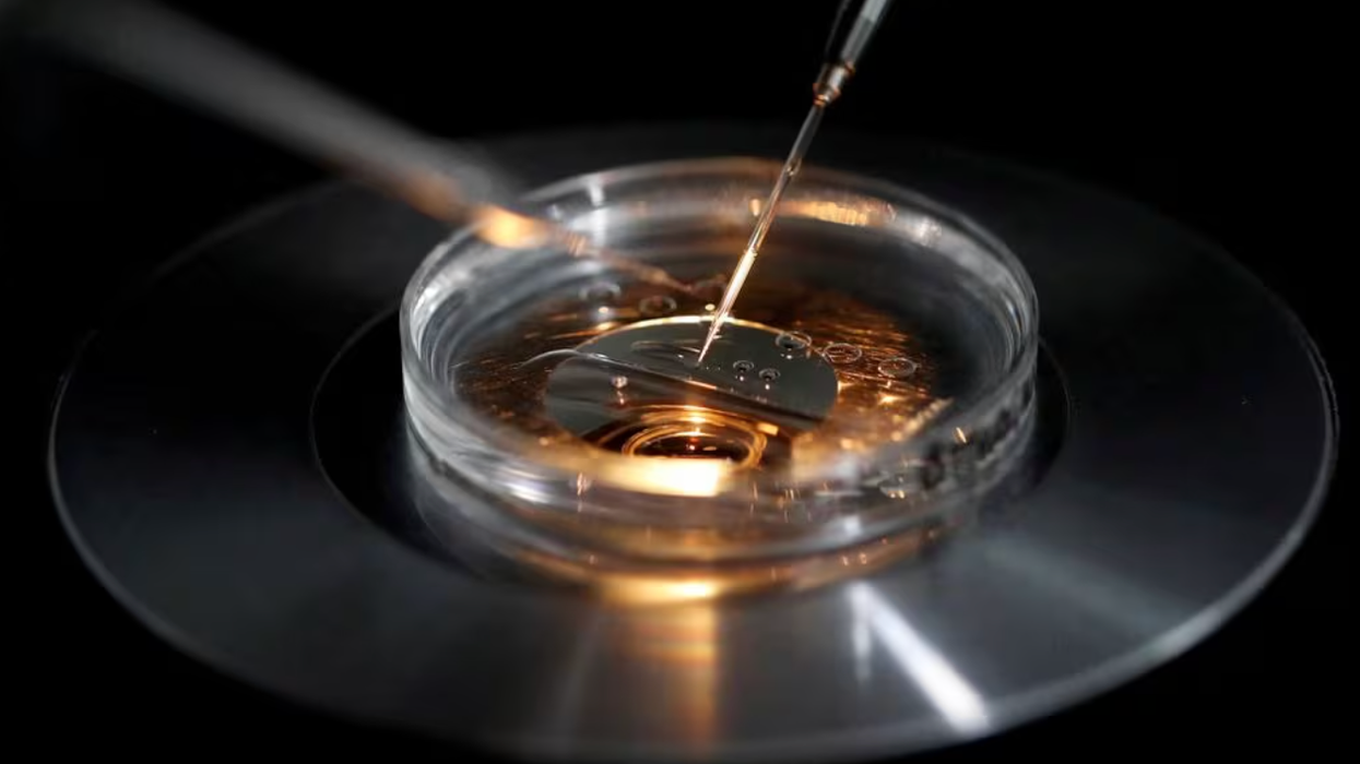 Alabama's Law Protecting IVF Embryos Is Wrong -- But Consistent