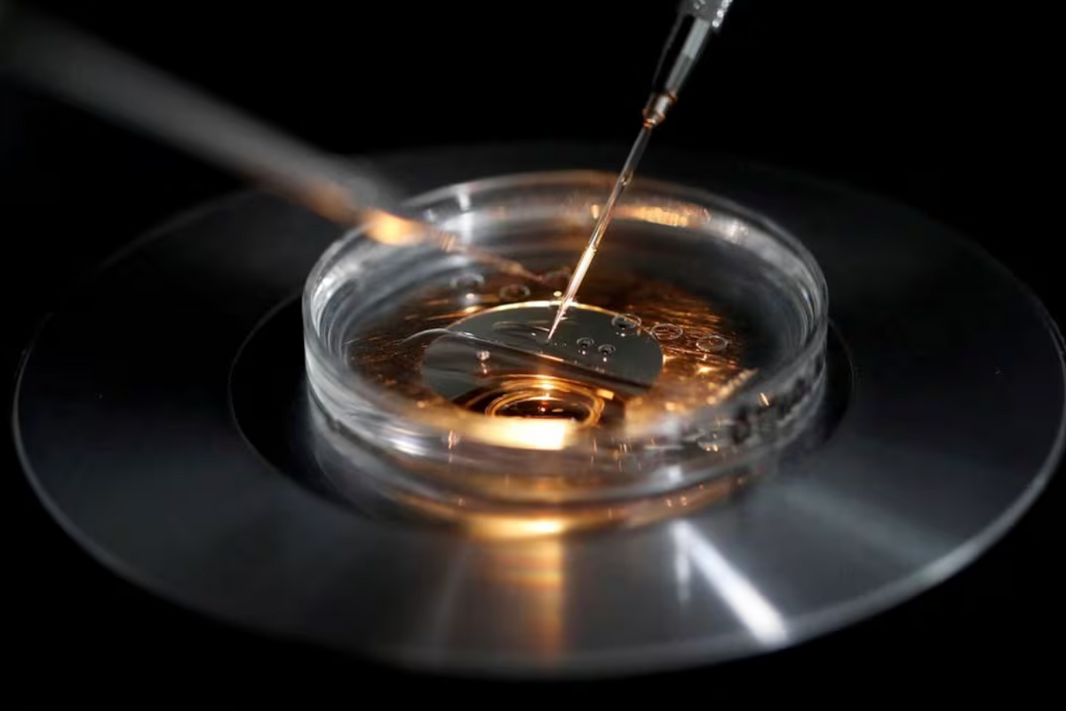 Alabama's Law Protecting IVF Embryos Is Wrong -- But Consistent