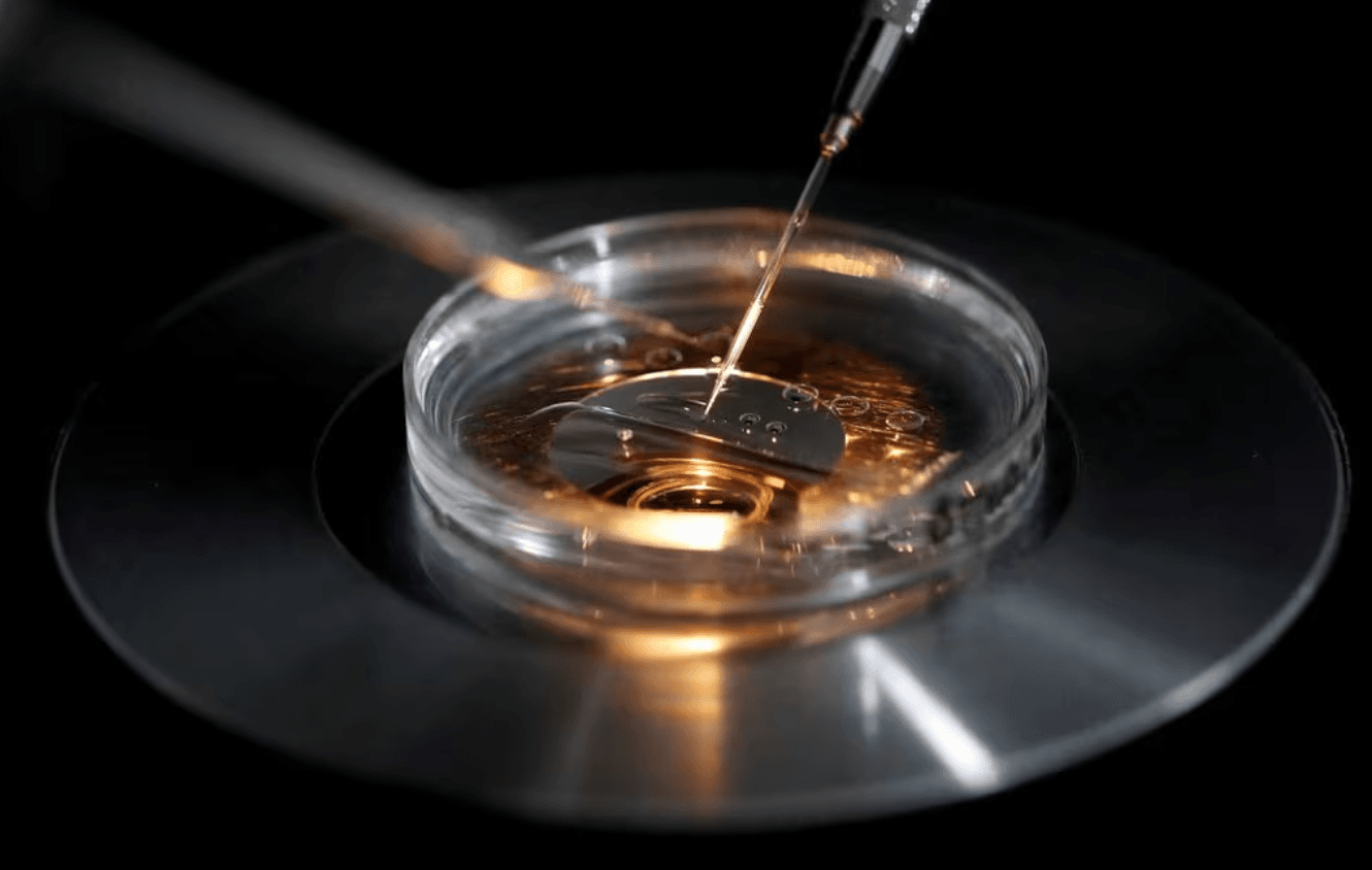 Alabama's Law Protecting IVF Embryos Is Wrong -- But Consistent