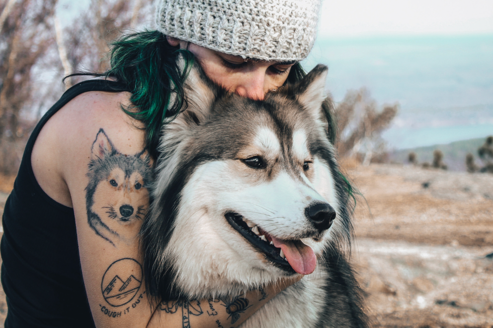 pets