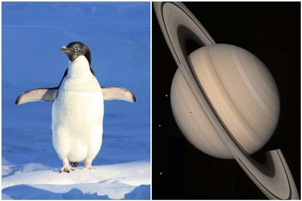 People are sharing the most random facts they know. Here's 20 of the most interesting.