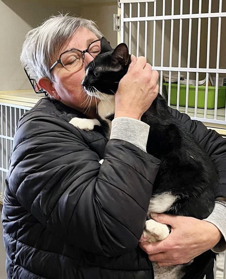 sweet shelter cat snuggling