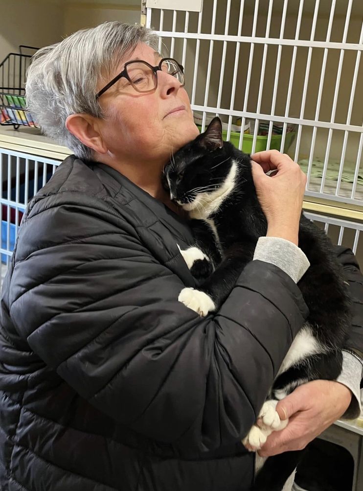 Cat Overlooked for Almost a Year at Animal Shelter Until Perfect Family Came  for Him, He Couldn't Be Happier - Love Meow