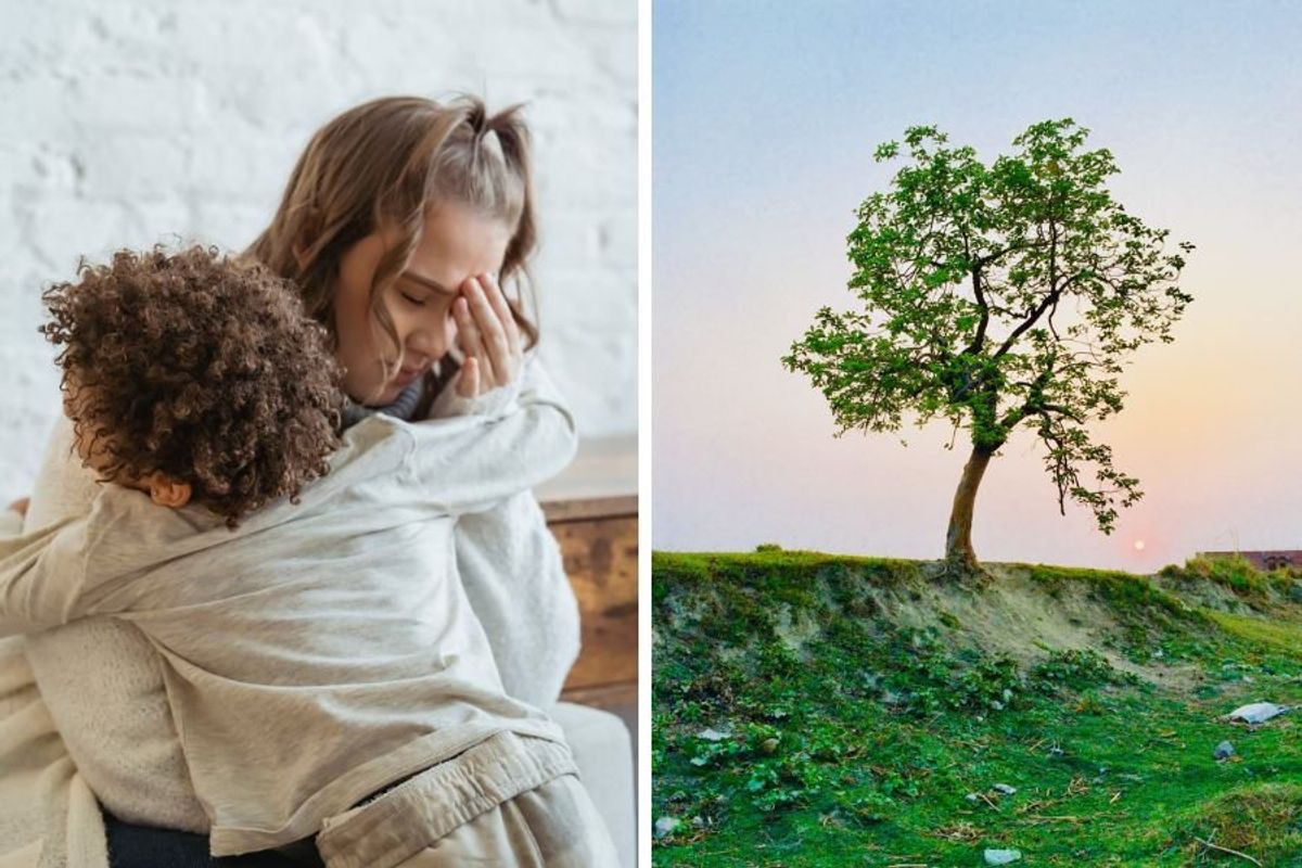 motherhood; mental load of motherhood; motherhood mental load; parenting; mental health; default parent