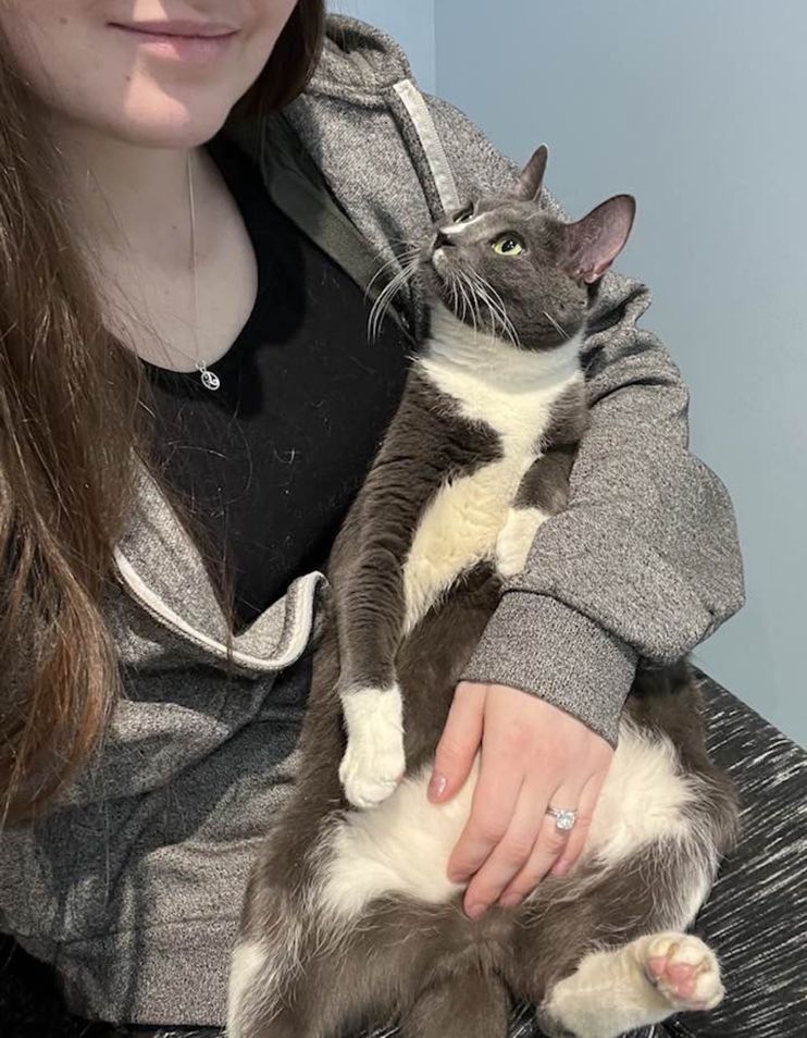 Cat Sat Shyly on the Cold Floor of Building Until Kind Neighbor Scooped Her  Up and Changed Her Life - Love Meow