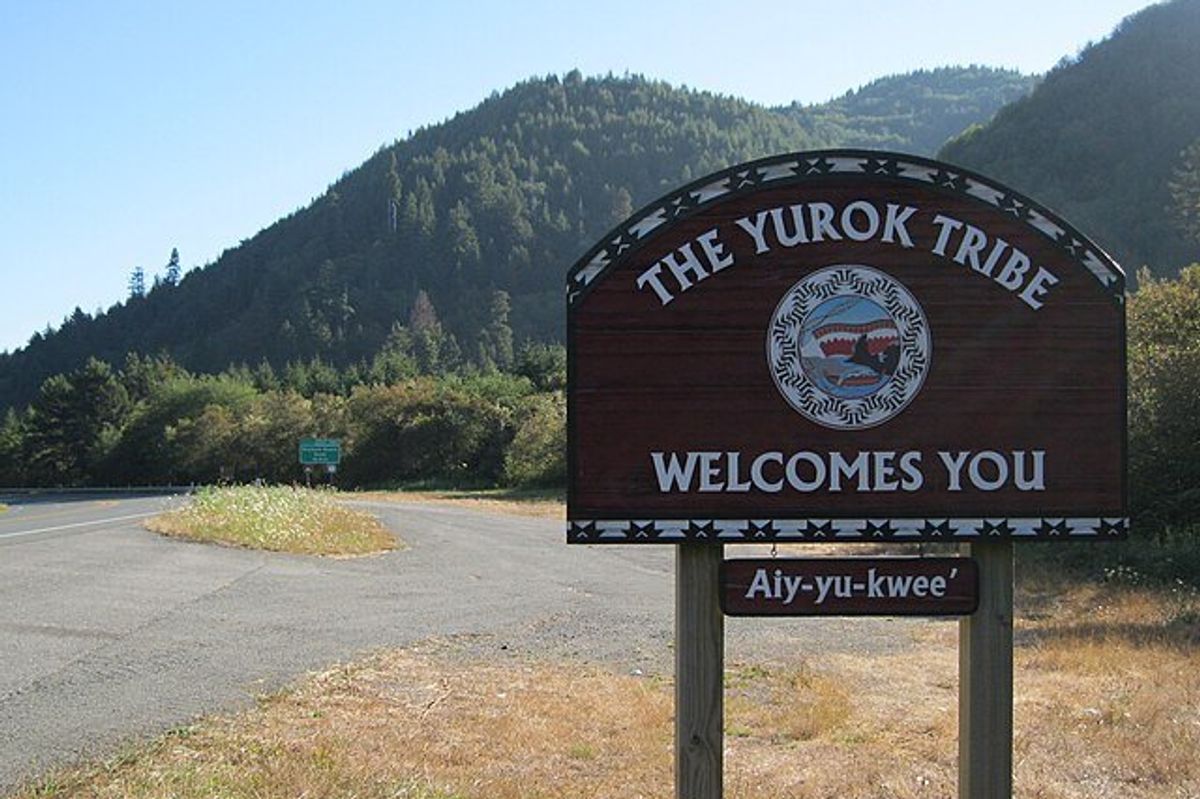 Welcome sign from the Yurok Tribe in front of redwood trees