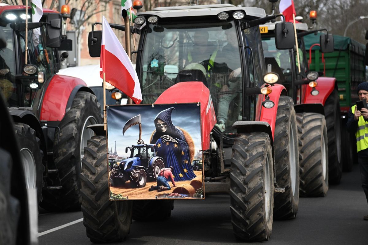 Mosca cavalca la battaglia del grano: oro giallo svenduto e Ue in ginocchio