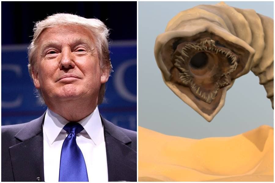dune, trump dune sand worm