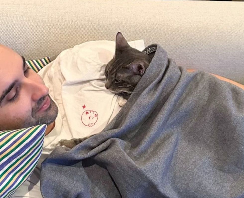 cat snuggling blanket man