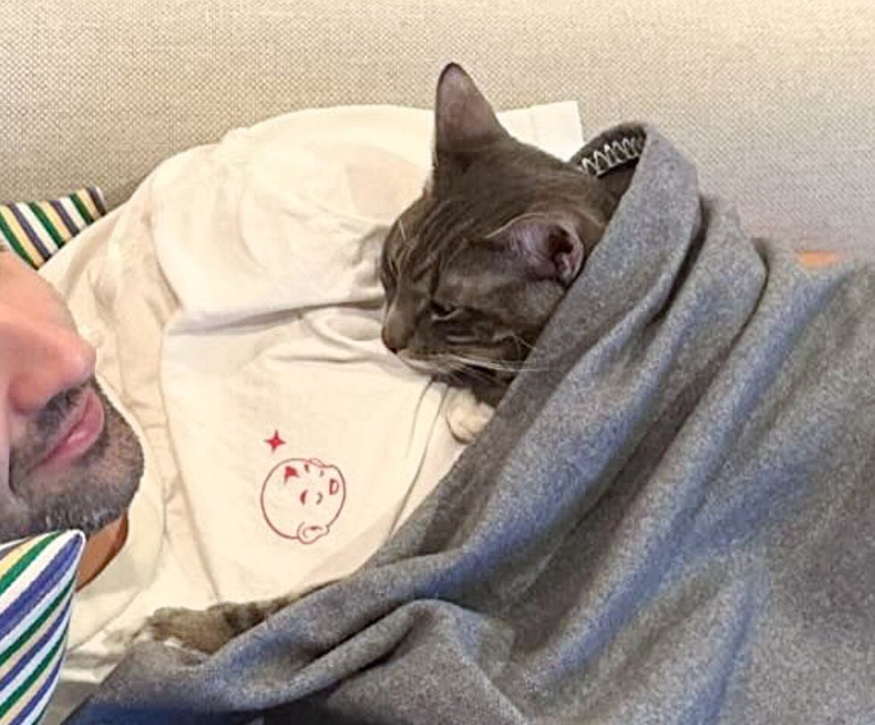 cat snuggly blanket