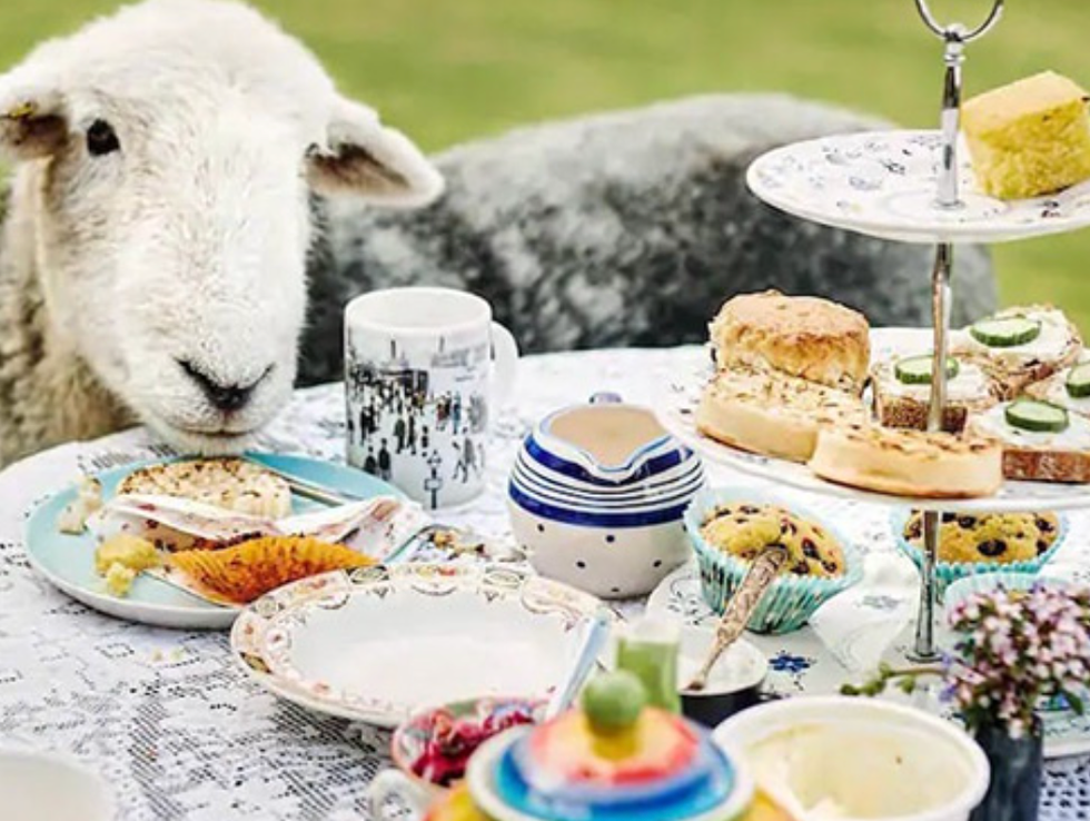 sheep at a table where tea is being served
