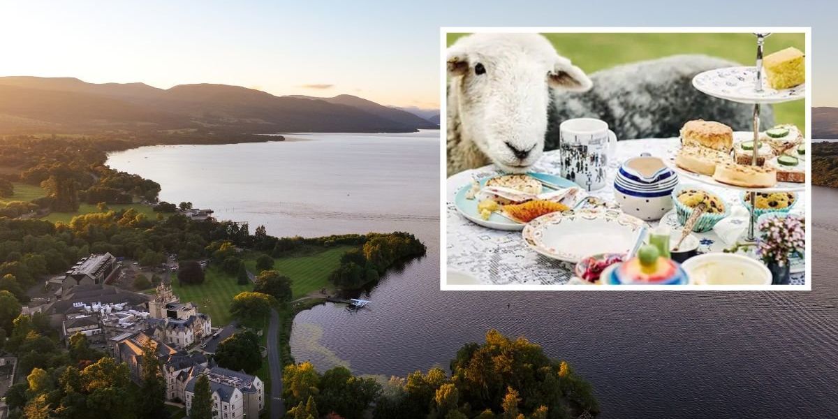 5-star Scottish resort offers whimsical afternoon tea experience with 'naughty sheep'